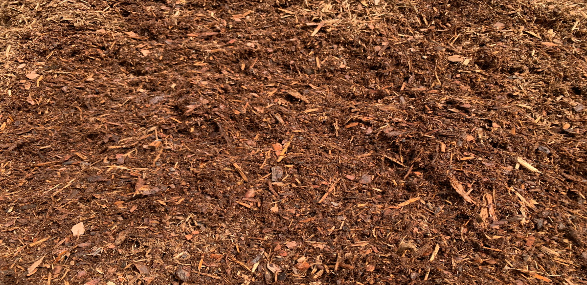 Brown Pine mulch.jpg